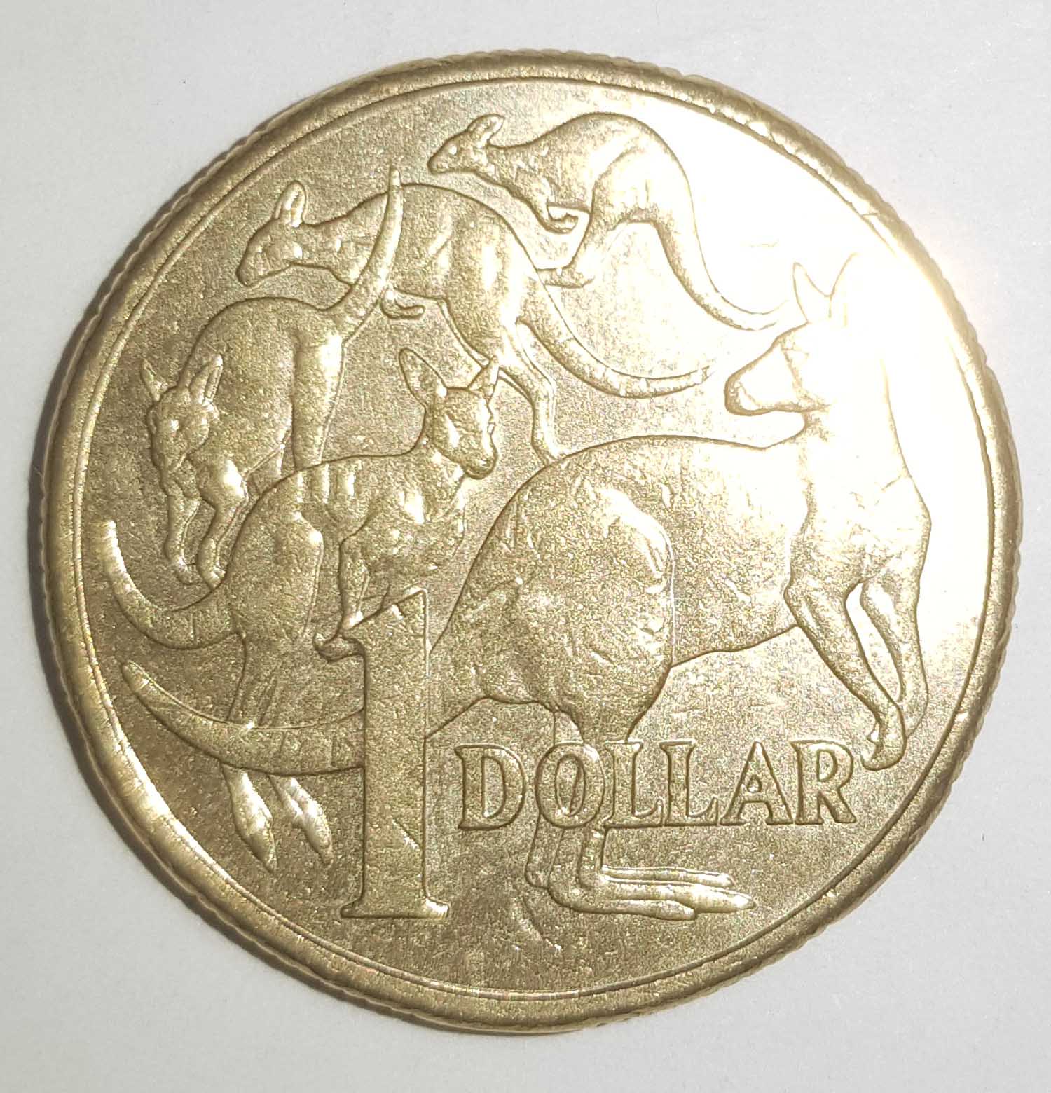 Did-I-Find-A-New-Defect?-2016-$1-'Fork'-Roo?